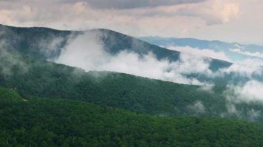 Yaz yağmuru mevsiminde Great Smokey Dağları. Kuzey Carolina Appalachians, ABD 'deki dağlık tepeler.