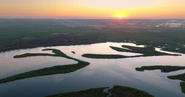 Kuzey Limanı, Florida 'daki Myakka Nehri. Güney Amerika 'da vahşi bitki örtüsüyle birlikte subtropikal bataklık..