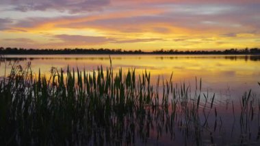 Gün batımında güzel doğa manzarası. Venedik, Florida 'daki Wellen Park' ta vahşi yaşam gölü.