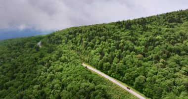 Yazın yağışlı mevsimde Blue Ridge Parkway. Kuzey Carolina Appalachian dağlarındaki dağ geçidi yolu, ABD.