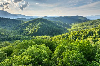 Kuzey Carolina Appalachian dağlarının güzel doğası, ABD. Yaz mevsiminde Büyük Smokey Dağları.