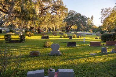 Gün batımında birçok mezar taşı olan bir mezarlık. Orlando, Florida 'daki yeşil çimlerin üzerindeki Güney meşe ağaçlarının altında bir mezar yeri..