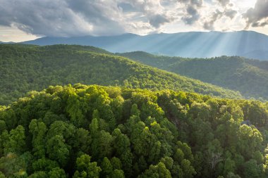 Appalachian dağlarında akşam manzarası. Kuzey Carolina Blue Ridge Dağları 'ndaki Mitchell Dağı. Yaz mevsiminde orman doğası.