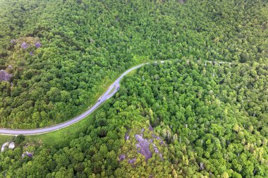 Appalachian dağlarının yaz ormanlarında Blue Ridge Parkway yolunda. Yaz mevsiminde vahşi doğada araba kullanmak.