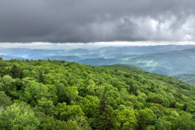 Kuzey Carolina 'daki Appalachian dağ tepelerinde yaz ormanı. Yağmurlu ve nemli havalarda güzel doğanın yaz manzarası.