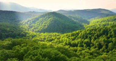 Yaz mevsiminde gün doğumunda Büyük Smokey Dağları. Kuzey Carolina Appalachians, ABD 'deki dağlık tepeler.