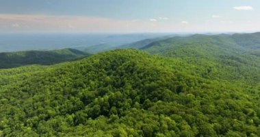 Kuzey Carolina Appalachian dağları yaz mevsiminde. Güzel doğanın yaz manzarası.
