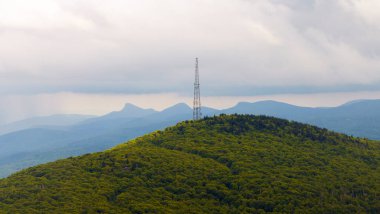 Appalachian dağlarının yaz ormanları. Renkli ormanlarda yeşil gölgelikleri var. Yaz mevsiminde vahşi doğa.