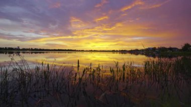 Güney tropikal sulak alanlarda göl suyu üzerinde akşam manzarası. İnanılmaz Florida doğası gün batımında.
