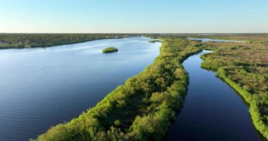 Florida sulak arazisi doğası. Kuzey Limanı 'ndaki Myakka Nehri Güney Amerika' daki tropikal bitki örtüsü..