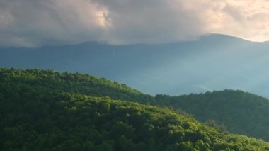 Appalachian dağlarındaki Mitchell Dağı akşam manzarası. Yaz mevsiminde orman doğası. Tennessee 'deki renkli orman.