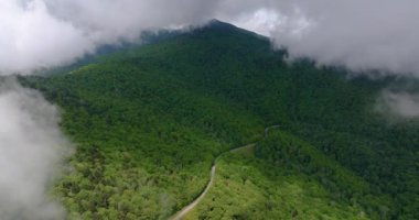Kuzey Carolina Appalachian dağlarındaki dağ geçidi yolu, ABD. Blue Ridge Parkway Yazın yağmur mevsiminde.