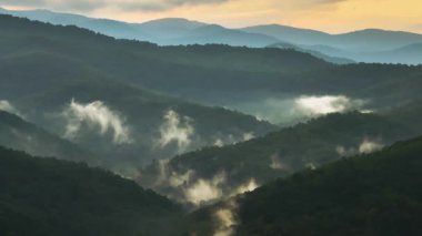 Kuzey Carolina 'daki Appalachian dağ tepelerinde yaz ormanı. Yağmurlu ve nemli havalarda güzel doğanın yaz manzarası.