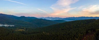 Karanlık dağ tepeleriyle dolu, sonbahar gündoğumunda çam ağaçlarıyla kaplı muhteşem manzara. Şafak vakti güzel vahşi ormanlık.