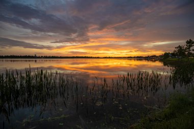Güney tropikal sulak alanlarda göl suyu üzerinde akşam manzarası. İnanılmaz Florida doğası gün batımında.