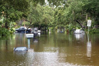 Debby Kasırgası Florida yerleşim bölgesindeki sokağı sular altında bıraktı. Küresel ısınmanın yol açtığı doğal afet sonucu.