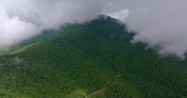 Blue Ridge Parkway yolu gezisi. Kuzey Carolina 'daki Appalachian dağ tepelerinde yaz ormanlarında araba keşfi yapmak. Güzel doğanın yaz manzarası.
