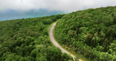Kuzey Carolina Appalachian dağlarındaki orman yolu, ABD. Blue Ridge Parkway Amerikan otoyolu yaz yağmuru mevsiminde.