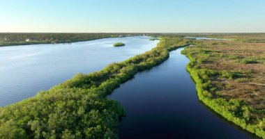 Kuzey Limanı, Florida 'daki Myakka Nehri. Güney Amerika 'da vahşi bitki örtüsüyle birlikte subtropikal bataklık..