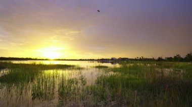 Gün batımında güzel doğa manzarası. Venedik, Florida 'daki Wellen Park' ta vahşi yaşam gölü.