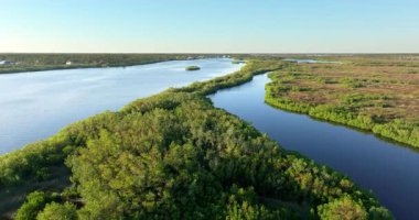 Florida Myakka nehri sulak arazi doğası. Günbatımında yoğun yeşil bitki örtüsüyle tropik bataklık.