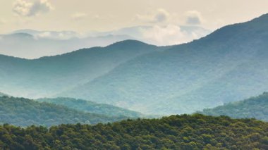 Appalachian dağlarının yaz ormanları. Renkli ormanlarda yeşil gölgelikleri var. Yaz mevsiminde nemli yağmur mevsiminde vahşi doğa.