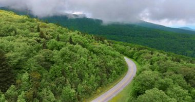 Yaz ormanlarında dolambaçlı dağ yolu. Kuzey Carolina 'daki Appalachian dağlarında yaz mevsiminde taze yeşil orman ağaçları var. ABD doğasının güzelliği.