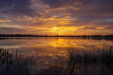 Florida gölü doğası gün batımında. Venedik 'teki Wellen parkında eğlence amaçlı vahşi yaşam alanı.