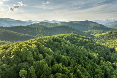 Yaz mevsiminde Great Smokey Dağları. Kuzey Carolina Appalachians, ABD 'deki dağlık tepeler.
