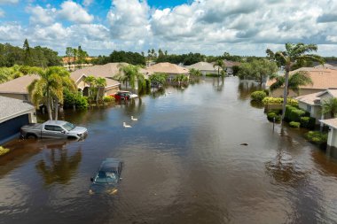 Debby Kasırgası şehir caddesini Florida yerleşim bölgesinde suyun altında kalmış araçlarla doldurdu. Doğal afetin sonuçları..