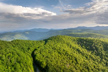 Yaz ormanlarında dolambaçlı dağ yolu. Kuzey Carolina 'daki Appalachian dağlarında yaz mevsiminde taze yeşil orman ağaçları var. ABD doğasının güzelliği.