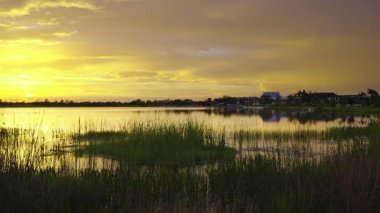Florida sulak arazisinin akşam manzarası. Güney tropikal bataklıkta gün batımında göl suyu.