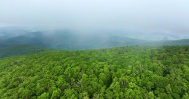 Yaz mevsiminde Kuzey Carolina Appalachian dağları. Güzel doğanın yaz manzarası.