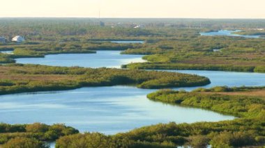 Kuzey Limanı 'ndaki Myakka Nehri sulak alanları. Gün batımında vahşi tropikal doğa. Florida ekosistem manzarası.