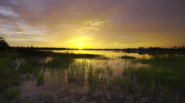 Güney tropik sulak alanlarda, göl suyunun üzerinde gün batımı. İnanılmaz Florida doğası..
