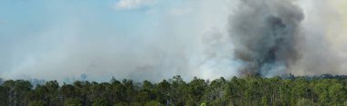 Florida orman ormanlarında büyük bir orman yangınının havadan görüntüsü. Tropikal ormanda yoğun dumanlı sıcak alevler.