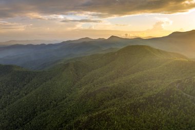 Kuzey Carolina 'daki Appalachian dağlarındaki Mitchell Dağı ve yaz ormanlarının sabah manzarası. Güzel doğanın yaz manzarası.