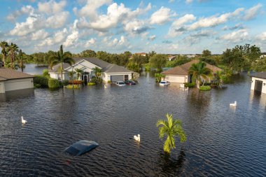 Debby Kasırgası 'ndan sonra Florida caddesini su basmış. Etrafı suyla çevrili. Doğal afetin sonuçları..