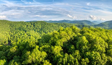 Kuzey Carolina Appalachian dağları yaz mevsiminde. Güzel doğanın yaz manzarası.