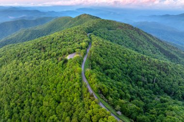 Kuzey Carolina Appalachian dağlarındaki Blue Ridge Parkway 'deki Mitchell Tepesi' nde viraj yolunda. Yazın yeşil gölgelikleri olan bir orman. Yazın vahşi ormanda araba sürmek..