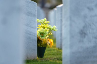 Beyaz mezar taşları olan eski ordu mezarlığı. Emekli askerlerin mezarları. Anma Günü konsepti.