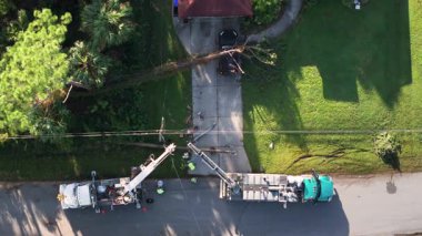 Florida 'da kasırga sonrası elektrik kesintisi. Elektrik işçileri hasar gören elektrik hatlarını onarıyor