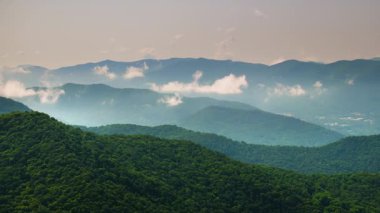Appalachian dağları. Yazın yağmur mevsiminde orman doğası. Tennessee 'deki renkli orman.