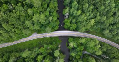 Blue Ridge Parkway karayolu köprüsü, Appalachian dağlarının yaz ormanlarında ormanda yeşil gölgelikleri olan küçük bir nehrin üzerinde. Yaz mevsiminde vahşi doğada araba kullanmak.