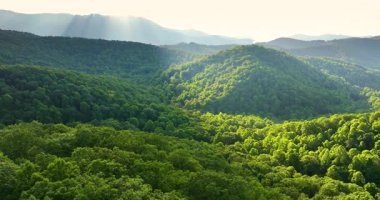 Gündoğumunda Tennessee Appalachian dağlarının doğa manzarası. Yaz mevsiminde yeşil tepe örtüleri olan dağ ormanları.