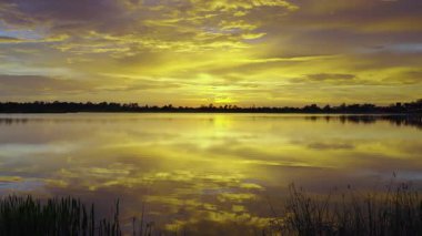 Günbatımında güneydeki tropik göl bitkileri. Florida sulak arazisinin akşam manzarası.