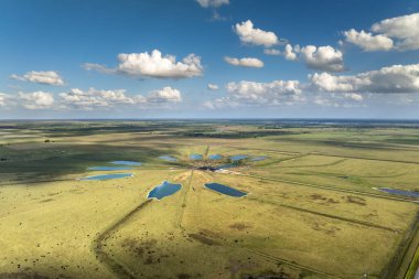 Çiftlik arazilerinde otlayan sığırlar. Organik süt ürünleri üretimi. Ticari tarım çayırlarında beslenen süt inekleri.