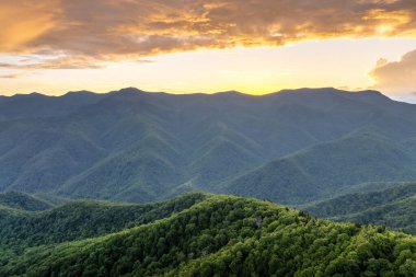 Appalachian dağlarında akşam manzarası. Kuzey Carolina Blue Ridge Dağları 'ndaki Mitchell Dağı. Yaz mevsiminde orman doğası.