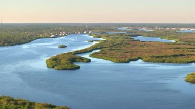 Myakka nehri ve günbatımında yoğun yeşil bitki örtüsüyle vahşi tropikal doğa. Güney Amerika 'da Florida sulak arazisi.