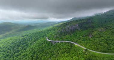 Yaz ormanlarında dolambaçlı dağ yolu. Kuzey Carolina 'daki Appalachian dağlarındaki Linn Cove Viaduct' ta yaz mevsiminde taze yeşil orman ağaçları var. ABD doğasının güzelliği.